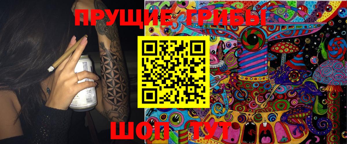 Псилоцибиновые грибы Cubensis Прокопьевск