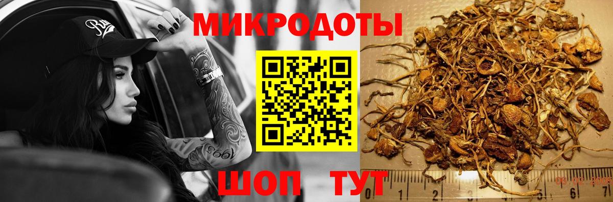 Галлюциногенные грибы Psilocybe  Вход с VPN  Псилоцибиновые грибы прущие грибы  Прокопьевск 